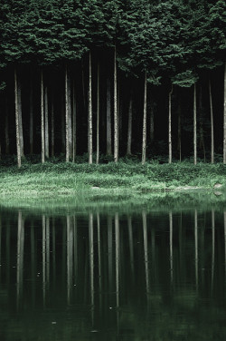 krasn0v:  Vertical line by U3K-Y on Flickr. 