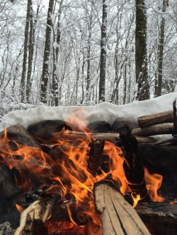 thejackstraw:  first snow. 