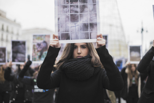 Cada año, con motivo del día de los derechos animales, Igualdad Animal/Animal Equality convoca en di