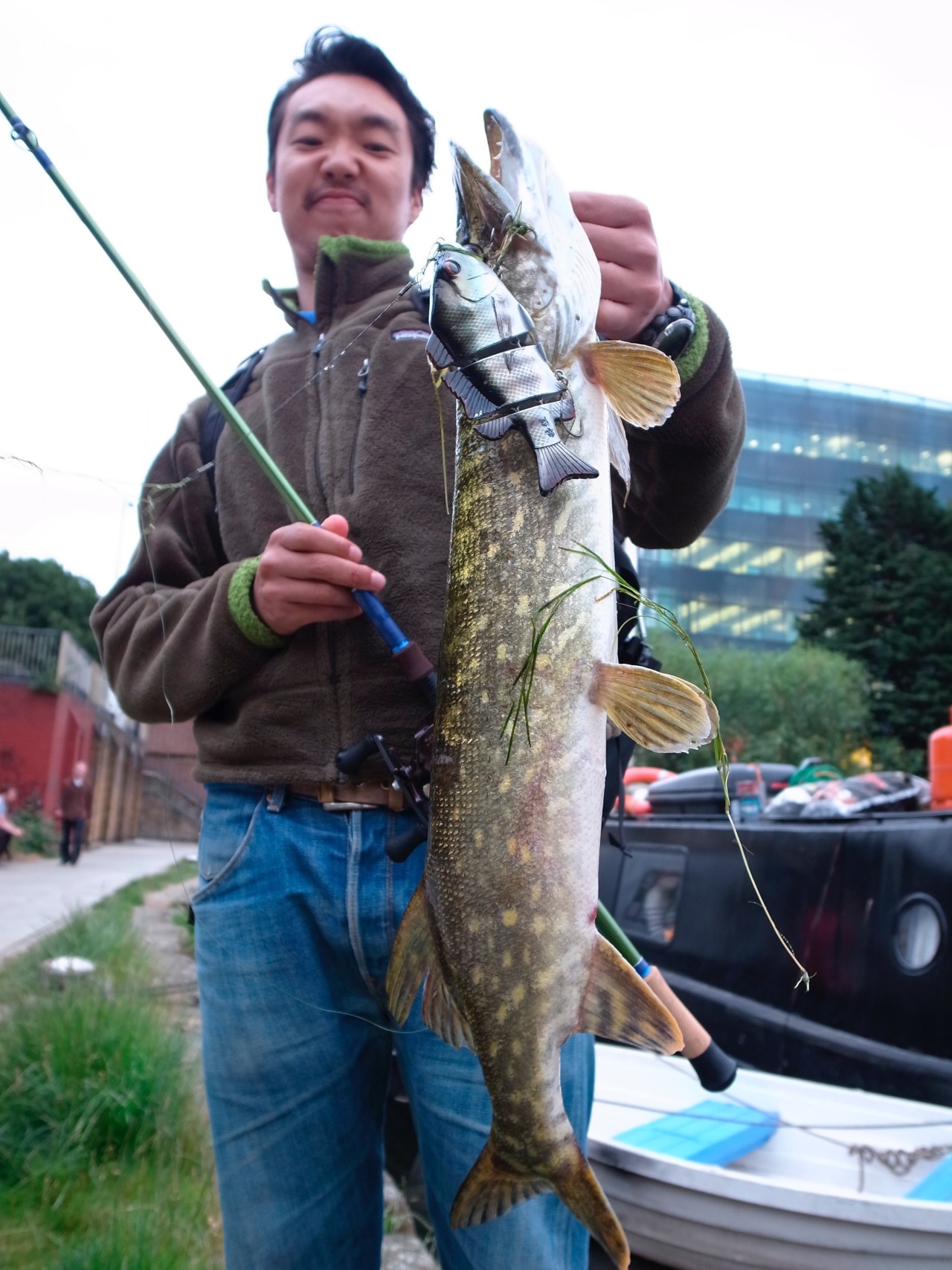 Royal Milktea Spicy Fishing これからパイクを釣る人へ Vol 1 ヨーロッパ イギリス Royal Milktea Spicy Fishing これからパイクを釣る人へ Vol 1 ヨーロッパ イギリス