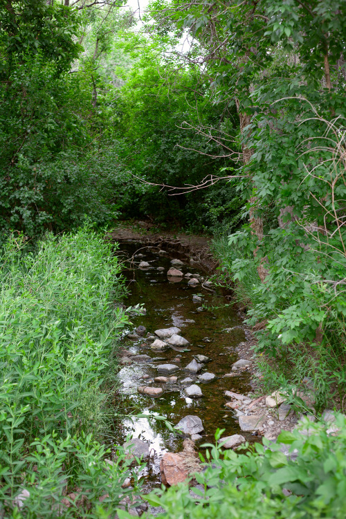 As Tender as the Creek-side Trees (on Instagram) by Marisa Renee I don’t know about you but I 