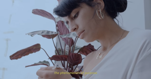 Sevdaliza The Formula (2016)