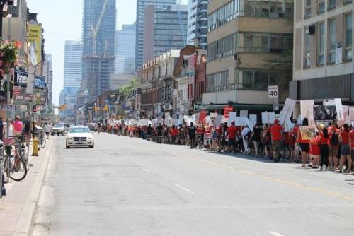 Yesterday (June 10th 2017), Toronto held its fifth March to Close All Slaughterhouses, along with do