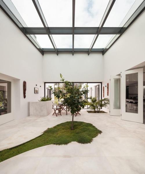 kazu721010: House in Cascais / FRA G MENT OS THE INDOOR TREES