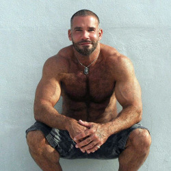  My two hairy men blogs: http://sambrcln.tumblr.com/archive http://hairysex.tumblr.com/archive