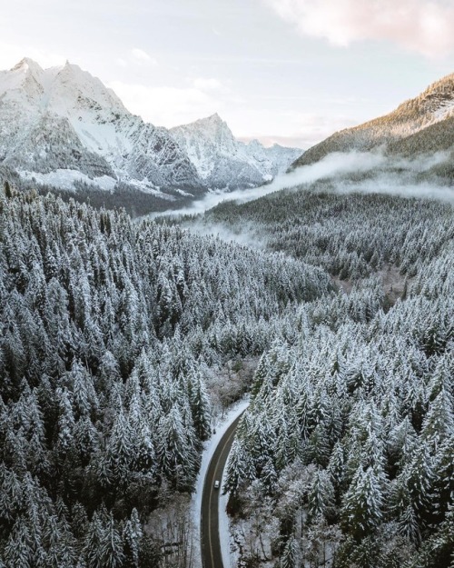 quiet-nymph:    Photography by Ryan Resatka   
