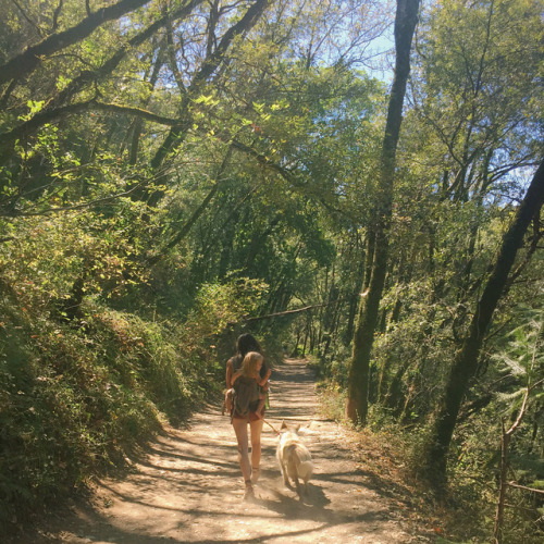 Walking with my babies, through the forest and down to the river. Everything was going great&hellip;