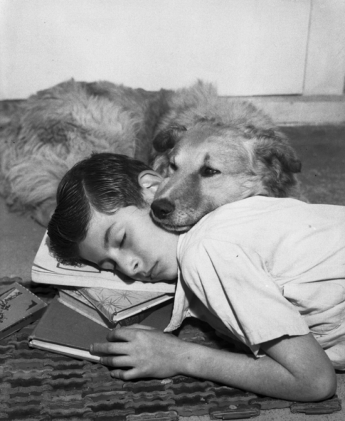 vincekris:Boy and dog resting on doormat 1940
