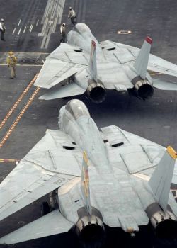 entrepreneur49: arnold-ziffel:  F-14 Tomcat awesomeness - not photoshopped.  Flyby 