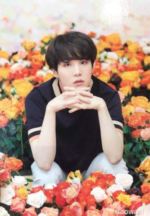 savemefromzedark:cr xiaowoxi
