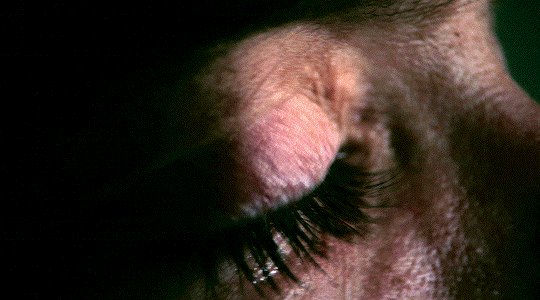 004f861f3a6078abd1ecc62f48d6bda33eedcb75.gif