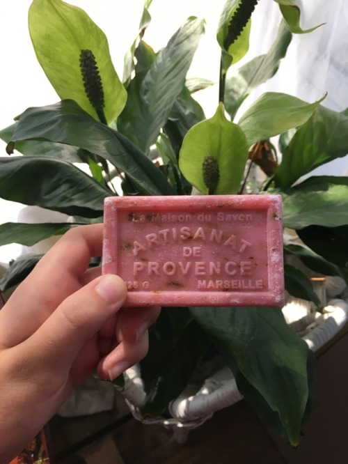 clovebud: Picked up some rose scented soap in Spain