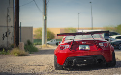 otisblank:  Rocket Bunny