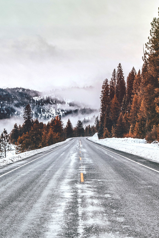 basdos:   Middle of the Road  