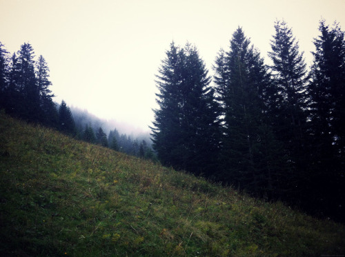 90377: Hohe Kugel, Vorarlberg by theodora.lumi