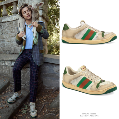 harry styles gucci trainers