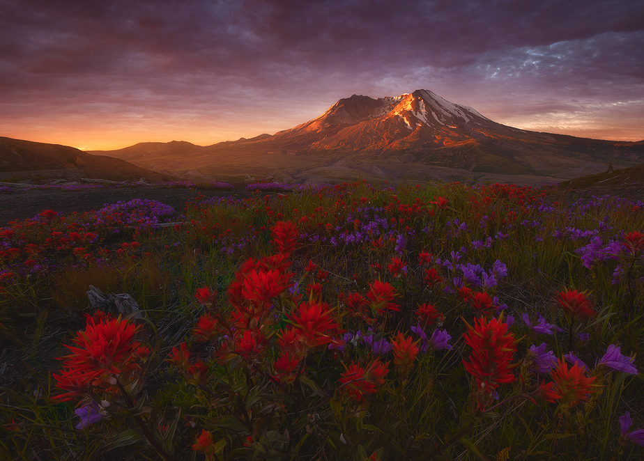 nubbsgalore:  photos by ryan dyar from the pacific northwest, who notes that the