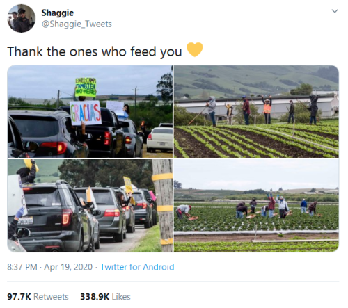 girlswhorunmyfandoms:  gahdamnpunk: PAY THEM WHAT THEY DESERVE AND NOT JUST DURING QUARANTINE ! ! ! Donate to United Farm Workers! https://ufw.org/sparechange/ 