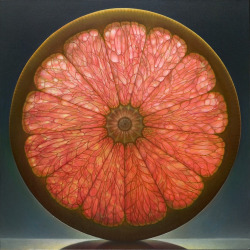 itscolossal: Luminous Portraits of Sliced Fruit Glow Like Stained Glass Windows