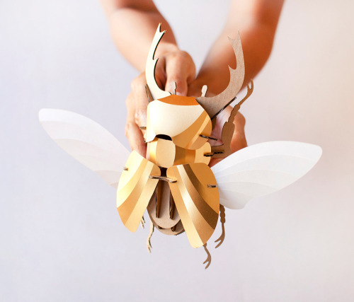 itscolossal: DIY Paper Beetle Sculpture Kits by Assembli