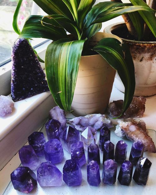 Lots of amethyst in the shop! ✨