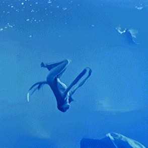 𝐚𝐩𝐡𝐫𝐨𝐝𝐢𝐭𝐞 ˏˋ°•*⁀➷ ᴍᴀꜱᴛᴇʀʟɪꜱᴛ