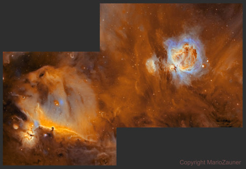 just–space: Horsehead and Orion Nebulas : The dark Horsehead Nebula and the glowing Orion Nebu
