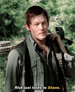 we are the walking dead