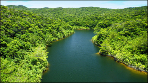 PART OF LAKE FUNGAA in the JUNGLE WARFARE TRAINING CENTER – The Waters that Feed LAKE AHA in O