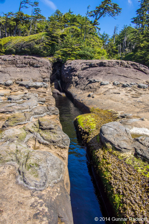 7.7.2014 - day 5 on the West Coast Trail - I dont know how, but somehow this trail is getting more a