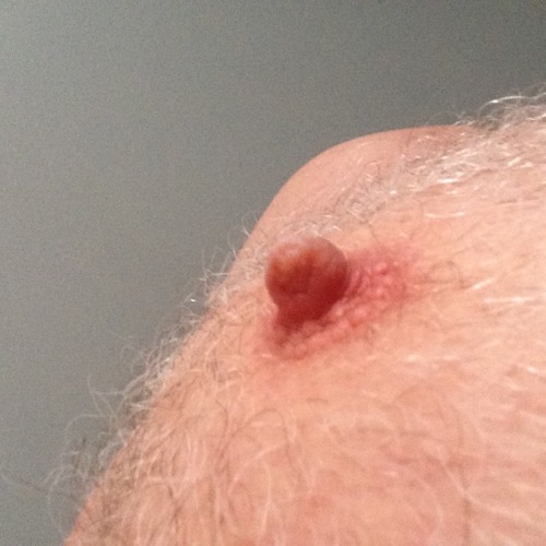 https://nipplepigs.tumblr.com/post/158707647069