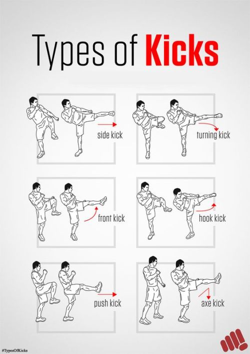 Porn kungfu-online-center:    Kickboxing is an photos