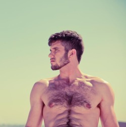 hot4hairy:  Jimmy Fanz  H O T 4 H A I R Y  Tumblr |  Tumblr Ask |  Twitter Email | Archive | Follow HAIR HAIR EVERYWHERE! 