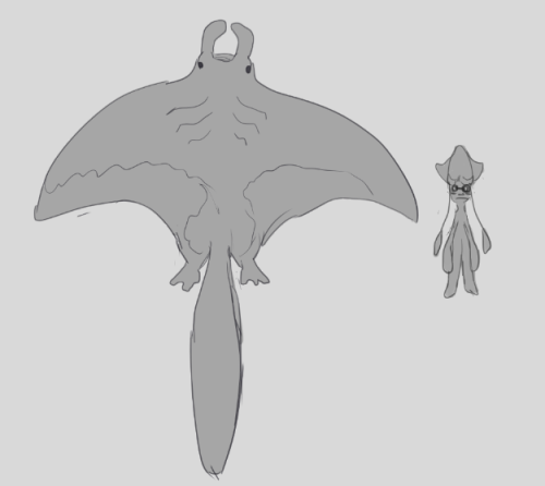 dogtoling: Splatures #2: Manta RaysRays are relatives of the sharks, but manta rays (or “