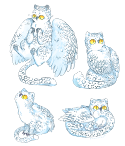 snowysaur: snow leopard owl griffin