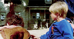 “He had been struck by something, possibly destiny, or fate, or only a degenerative nerve disease called rabies. Free will was not a factor.” | Cujo (1983) 