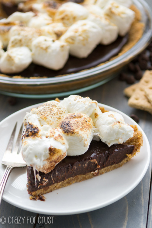 gastrogirl:  chocolate ganache s’mores pie.