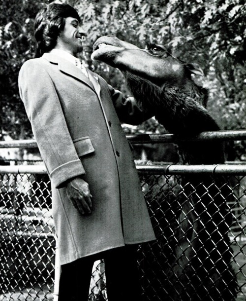 Visite au zoo, 1973.