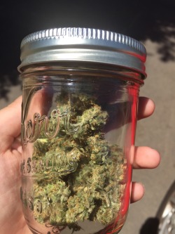 sativa-mermaid:  Literally from our mailman