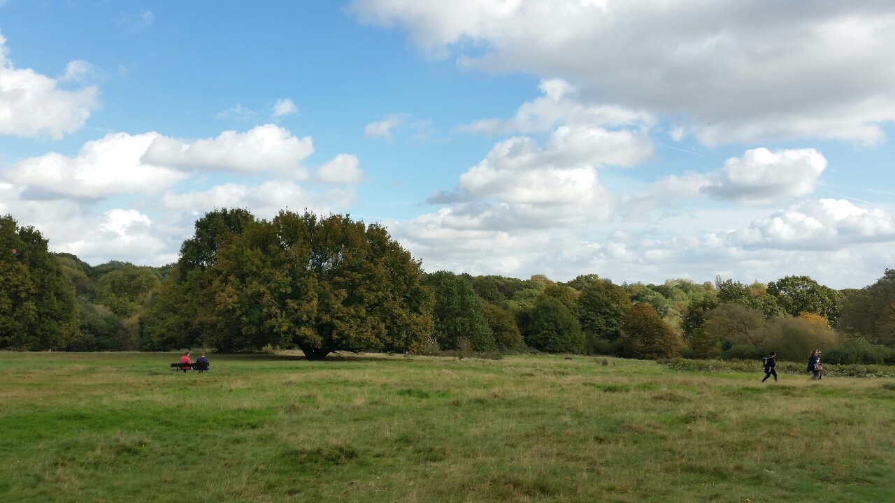 I want to lie in this grass field for eternity.