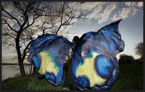 sosuperawesome:  Hand painted silk butterfly wings by PracowniaDor on Etsy  • So Super Awesome is also on Facebook, Twitter and Pinterest • 
