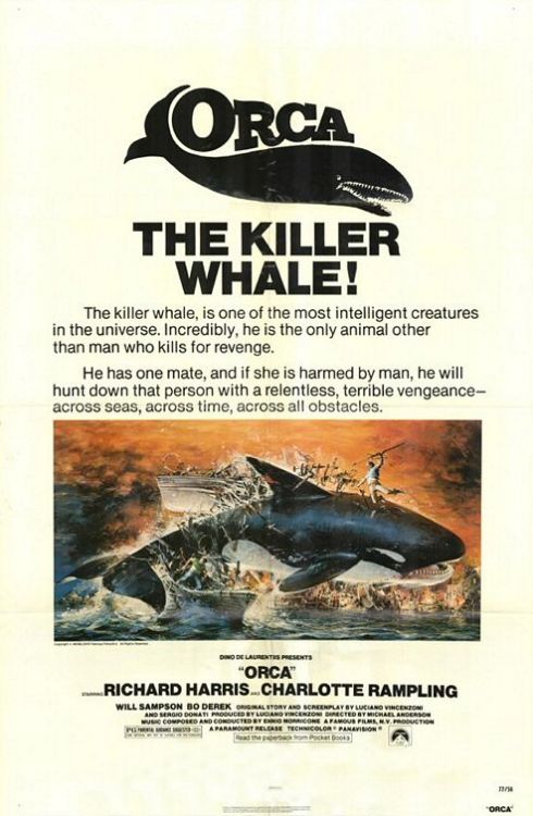 eugenehasntseen:Orca the Killer Whale Another seen on the back cover of comic books, it grabbed me f