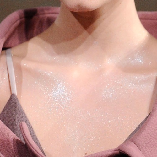 soierose:miu miu fw 2009 / details