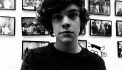 thishorans:  2011 harry  
