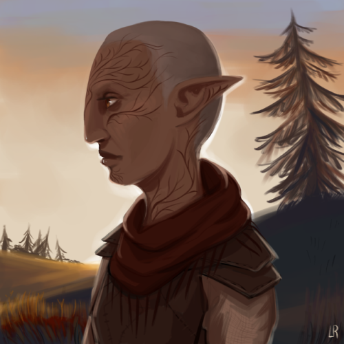 i’ve been replaying inquisition some and decided to finally try to romance solas. the game has