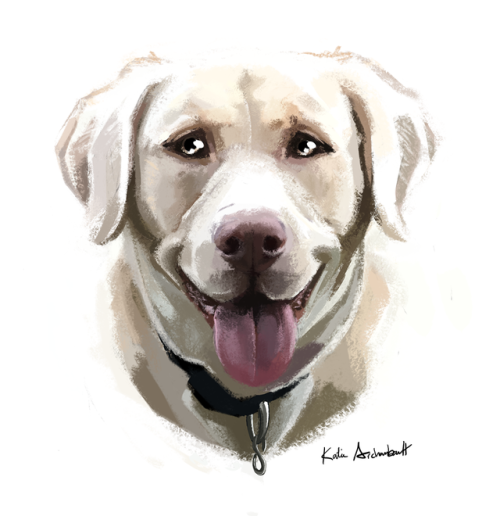 A commission of Dexter, my coworker’s pup!on dA