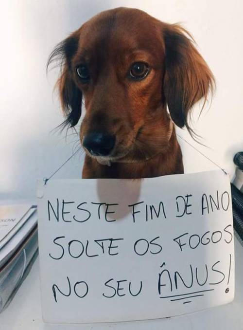reboladinho:  chefe