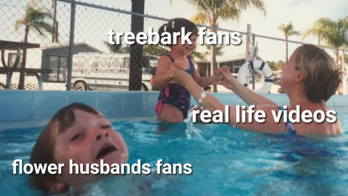 Some Memes I've Made Based On The Reactions I've Seen To The Real Life Videos So Far