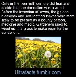 ultrafacts:  Source: [x] Click HERE for more