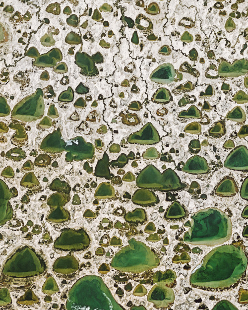 dailyoverview: There are upwards of 800,000 lakes in Russia’s Sakha Republic, many of which ar